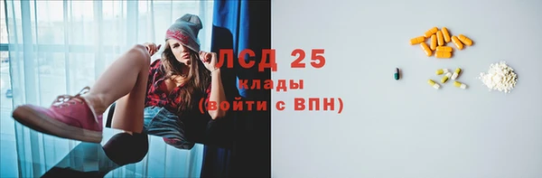 СК Калининец