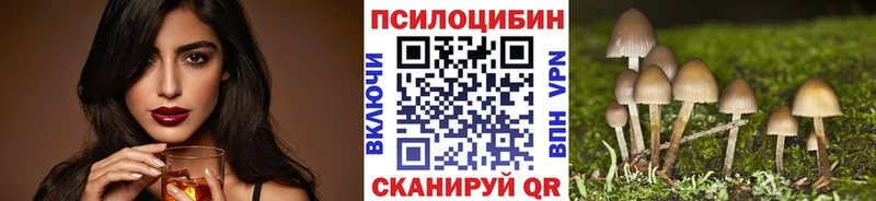 Псилоцибиновые грибы мицелий Ковдор